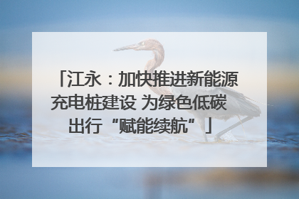江永：加快推进新能源充电桩建设 为绿色低碳出行“赋能续航”