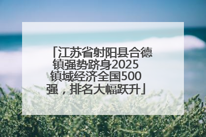 江苏省射阳县合德镇强势跻身2025镇域经济全国500强，排名大幅跃升