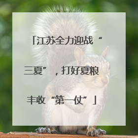 江苏全力迎战“三夏”，打好夏粮丰收“第一仗”