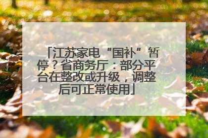 江苏家电“国补”暂停？省商务厅：部分平台在整改或升级，调整后可正常使用
