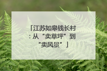 江苏如皋钱长村：从“卖草坪”到“卖风景”