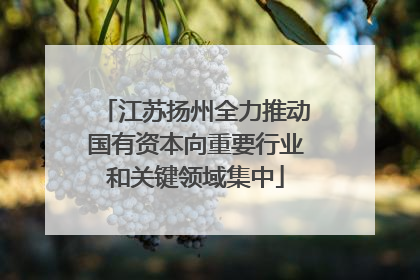 江苏扬州全力推动国有资本向重要行业和关键领域集中