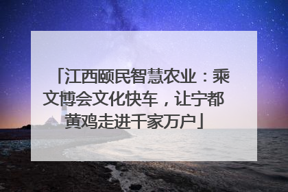 江西颐民智慧农业：乘文博会文化快车，让宁都黄鸡走进千家万户