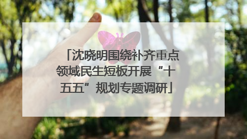 沈晓明围绕补齐重点领域民生短板开展“十五五”规划专题调研