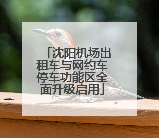 沈阳机场出租车与网约车停车功能区全面升级启用
