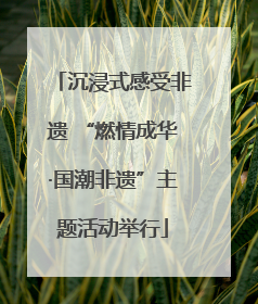 沉浸式感受非遗 “燃情成华·国潮非遗”主题活动举行