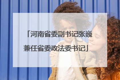 河南省委副书记张巍兼任省委政法委书记