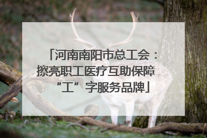 河南南阳市总工会：擦亮职工医疗互助保障“工”字服务品牌