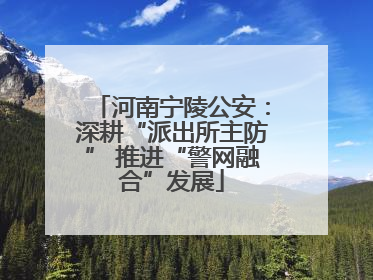 河南宁陵公安：深耕“派出所主防” 推进“警网融合”发展