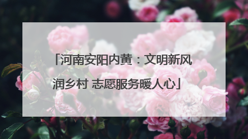 河南安阳内黄：文明新风润乡村 志愿服务暖人心