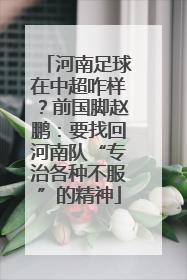 河南足球在中超咋样？前国脚赵鹏：要找回河南队“专治各种不服”的精神