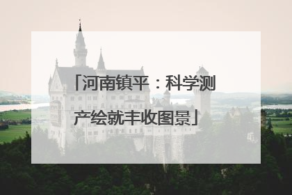 河南镇平：科学测产绘就丰收图景