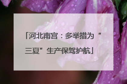 河北南宫：多举措为“三夏”生产保驾护航