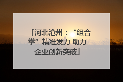 河北沧州：“组合拳”精准发力 助力企业创新突破