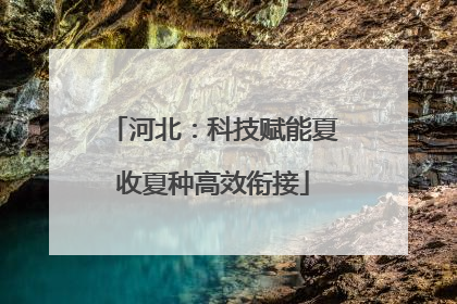 河北：科技赋能夏收夏种高效衔接