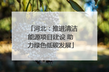 河北：推进清洁能源项目建设 助力绿色低碳发展