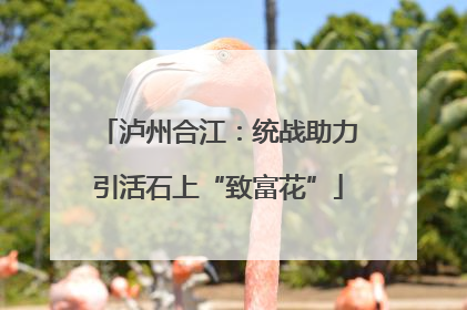 泸州合江：统战助力引活石上“致富花”