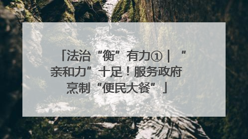 法治“衡”有力①｜“亲和力”十足！服务政府烹制“便民大餐”
