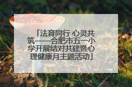法育同行 心灵共筑——合肥市五一小学开展结对共建暨心理健康月主题活动