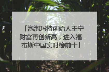 泡泡玛特创始人王宁财富再创新高，进入福布斯中国实时榜前十