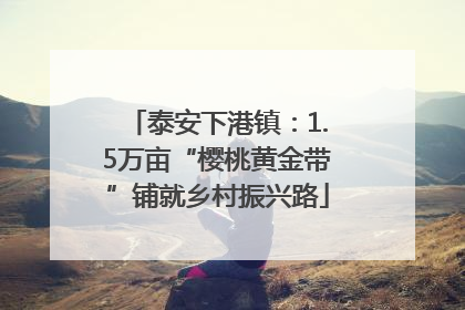 泰安下港镇：1.5万亩“樱桃黄金带”铺就乡村振兴路