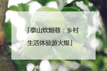 泰山炊烟巷：乡村生活体验游火爆
