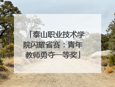 泰山职业技术学院闪耀省赛：青年教师勇夺一等奖