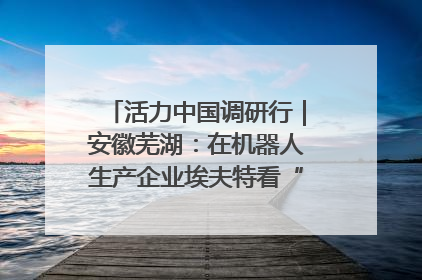 活力中国调研行｜安徽芜湖：在机器人生产企业埃夫特看“中国智造”
