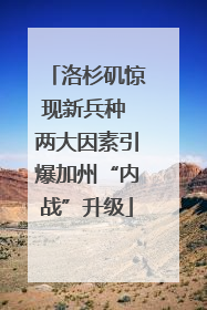 洛杉矶惊现新兵种 两大因素引爆加州“内战”升级