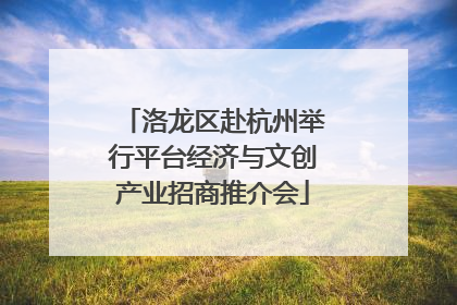洛龙区赴杭州举行平台经济与文创产业招商推介会