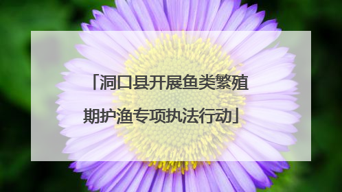 洞口县开展鱼类繁殖期护渔专项执法行动