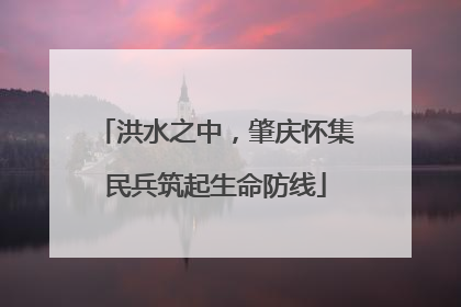 洪水之中，肇庆怀集民兵筑起生命防线