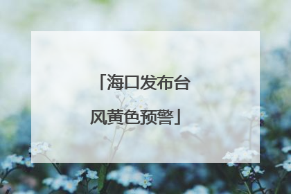 海口发布台风黄色预警
