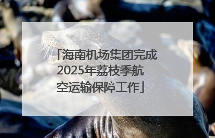 海南机场集团完成2025年荔枝季航空运输保障工作
