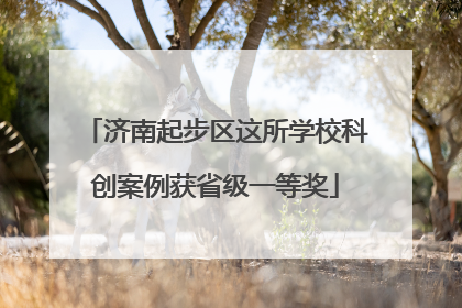 济南起步区这所学校科创案例获省级一等奖