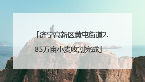 济宁高新区黄屯街道2.85万亩小麦收割完成
