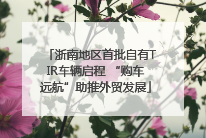 浙南地区首批自有TIR车辆启程 “购车远航”助推外贸发展