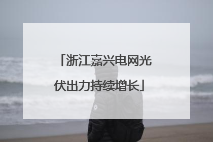 浙江嘉兴电网光伏出力持续增长