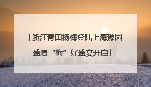 浙江青田杨梅登陆上海豫园 盛夏“梅”好盛宴开启