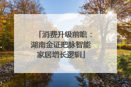 消费升级前瞻：湖南金证把脉智能家居增长逻辑