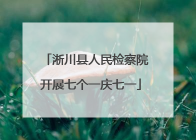 淅川县人民检察院开展七个一庆七一