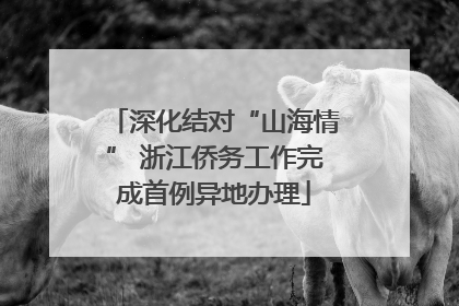 深化结对“山海情” 浙江侨务工作完成首例异地办理