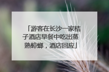 游客在长沙一家桔子酒店早餐中吃出蒸熟蟑螂，酒店回应