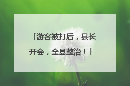 游客被打后，县长开会，全县整治！