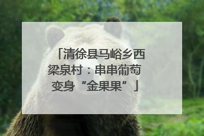 清徐县马峪乡西梁泉村：串串葡萄变身“金果果”