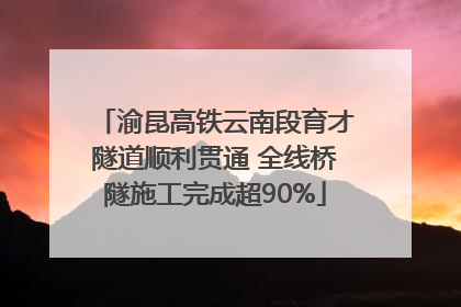 渝昆高铁云南段育才隧道顺利贯通 全线桥隧施工完成超90%