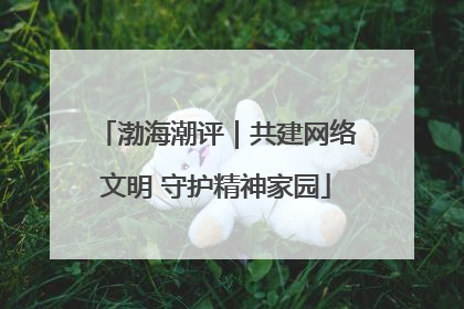 渤海潮评｜共建网络文明 守护精神家园