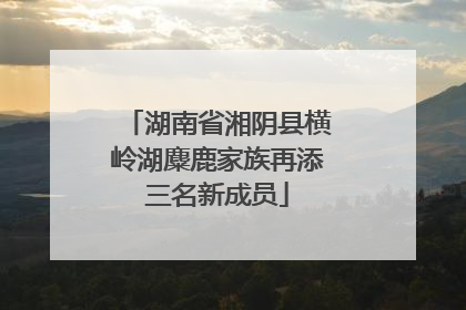 湖南省湘阴县横岭湖麋鹿家族再添三名新成员