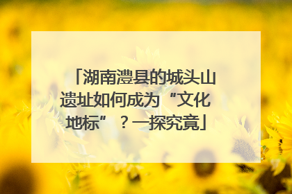 湖南澧县的城头山遗址如何成为“文化地标”？一探究竟