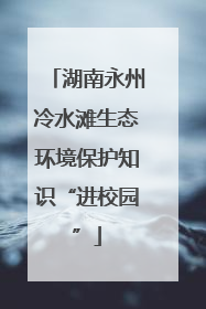 湖南永州冷水滩生态环境保护知识“进校园”